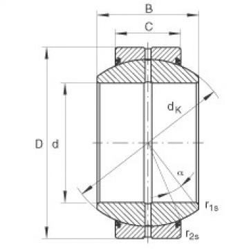 підшипник GE100-FO-2RS INA