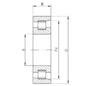 підшипник NF10/560 CX