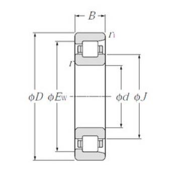 підшипник NF206 CYSD