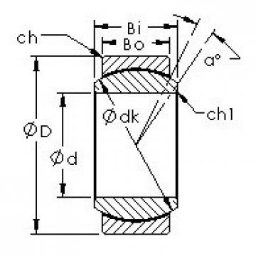 підшипник GE20C AST