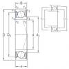 підшипник VEB 100 /S/NS 7CE3 SNFA #1 small image