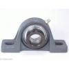 FHSPW201-12mm Pillow Block Cast Iron Light Duty 12mm Ball Bearings Rolling #2 small image