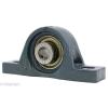 UCLP206-17 Bearing Pillow Block Medium Duty 1 1/16&#034; Ball Bearings Rolling