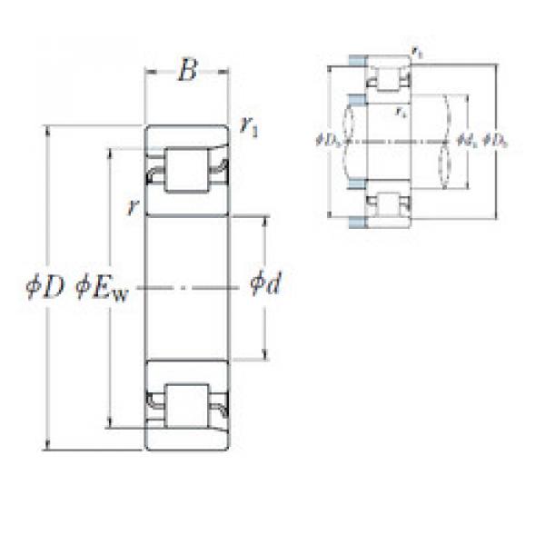 підшипник NF 210 NSK #1 image