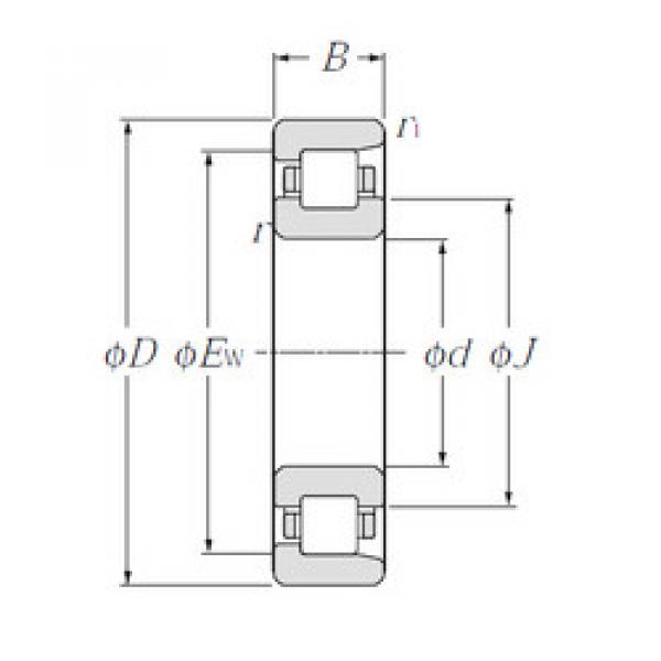 підшипник NF206 CYSD #1 image