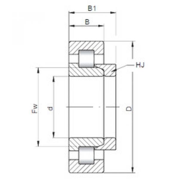 підшипник NH211 E CX #1 image