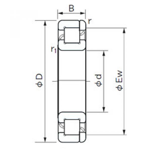 підшипник NP 207 NACHI #1 image