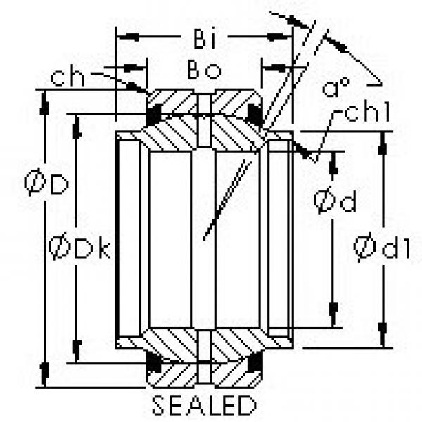 підшипник GEWZ34ES-2RS AST #1 image