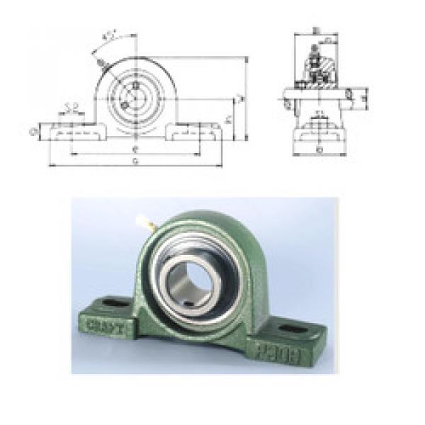 підшипник UCP309 CRAFT #1 image