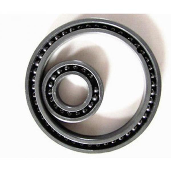 6004 Full Ball Ceramic Bearing SI3N4 Ball Bearing 20x42x12mm Silicon Nitride #1 image